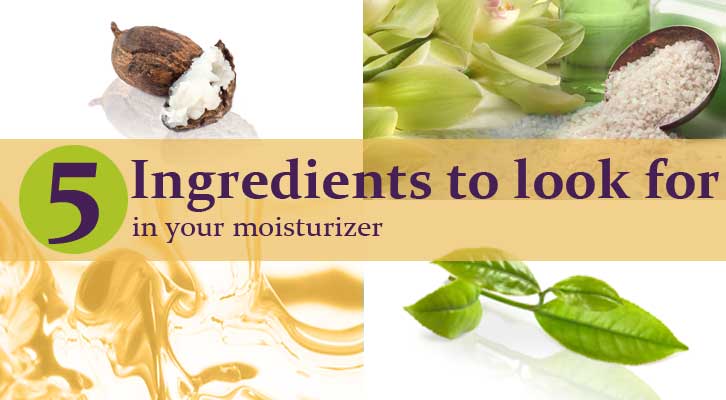 5 ingredients to look for in your moisturizer